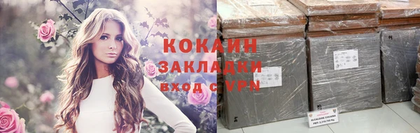 крисы Козловка