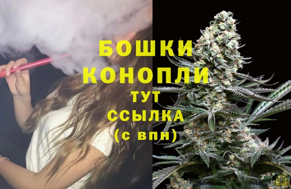 крисы Козловка