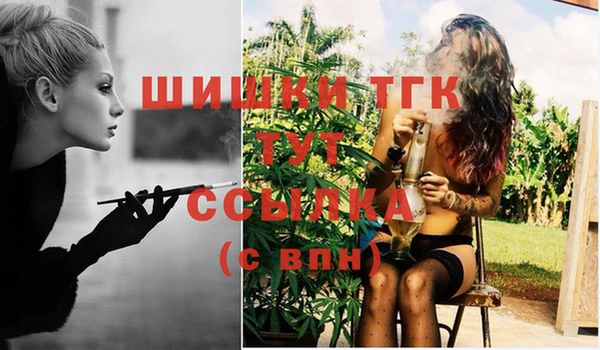 mix Козельск