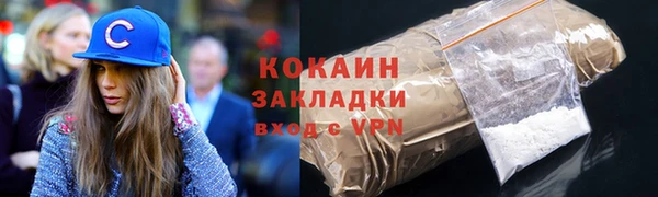 крисы Козловка