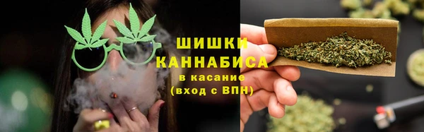 крисы Козловка