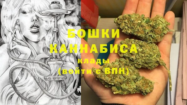 крисы Козловка