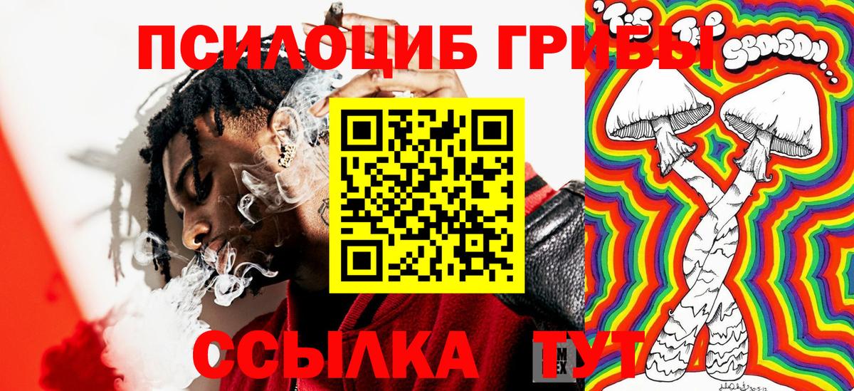Галлюциногенные грибы Cubensis Хасавюрт